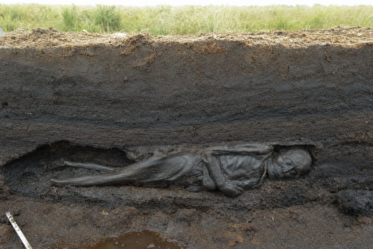 Peat bog excavation, Jutland