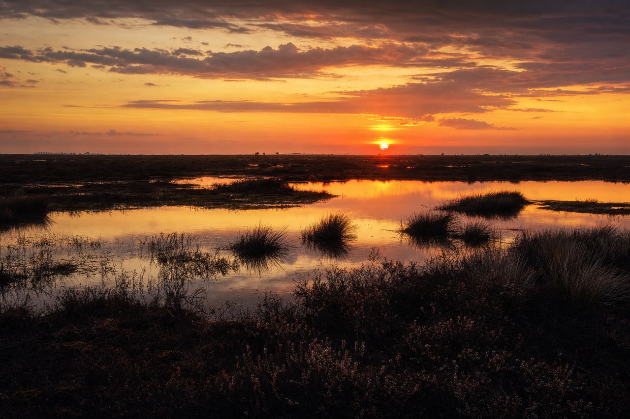 The Bourtanger Moor at dusk