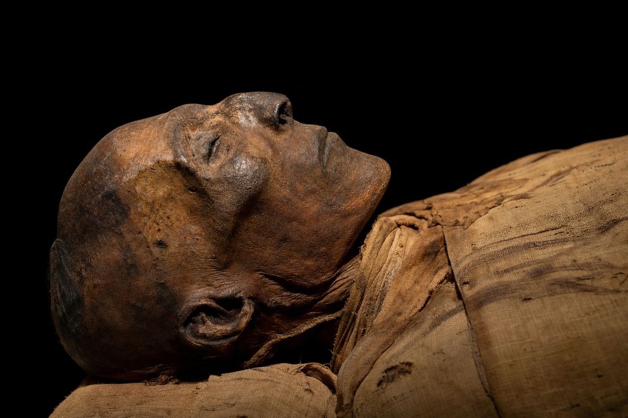 The mummy of Seti I — the finest royal preservation
